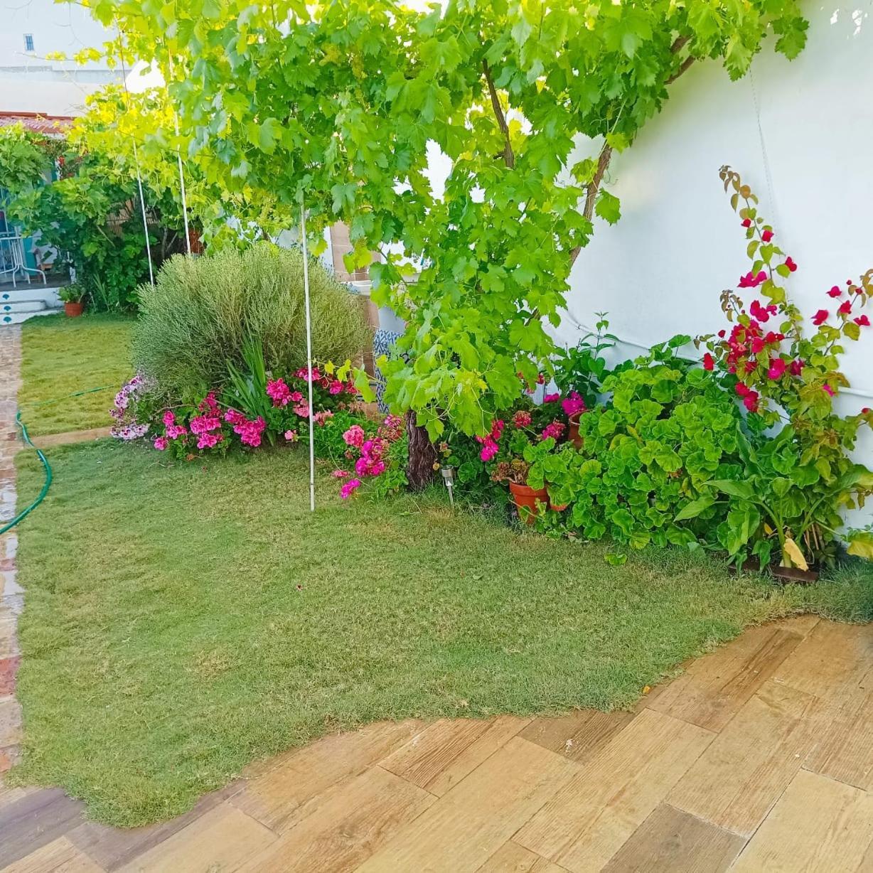 Casa Con Piscina Cerca De Sevilla Carrion de Los Cespedes Exterior foto